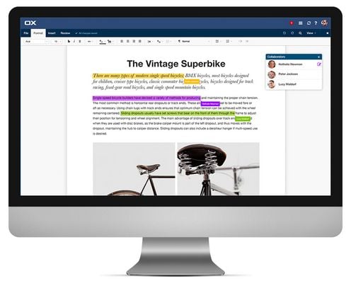 csm_5.1_ox_text_collaborators_7.10_desktop_5fa2a099f2 csm_5.1_ox_text_collaborators_7.10_desktop_5fa2a099f2